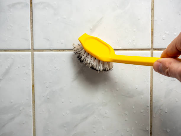 Best Affordable Mold Removal  in St Croix Falls, WI