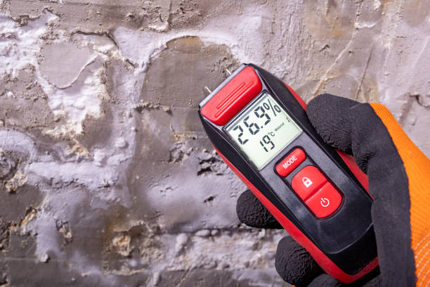 Best Mold Removal Company Near Me  in St Croix Falls, WI