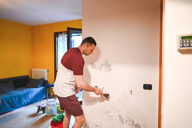 Best Mold Testing  in St Croix Falls, WI